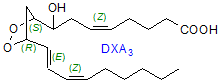 Formula of dioxolane A3 (DXA3)