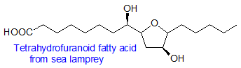 Tetrahydrofuranoid fatty acid from sea lampreys