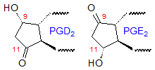 Partial structures of PGD2 and PGE2