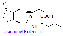 Formula of jasmonoylisoleucine
