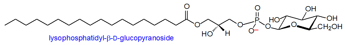 lysophosphatidylglucoside