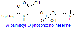 Formula of N-palmitoyl-O-phosphocholineserine