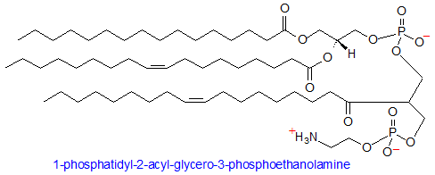 Structure of 1-phosphatidyl-2-acyl-glycero-3-phosphoethanolamine