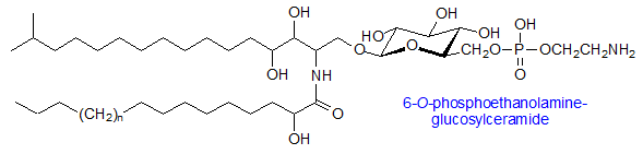 Formula of phosphoethanolamine-glucosylceramide