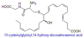 Formula of 13-cysteinylglycinyl,14-hydroxy-docosahexaenoic acid