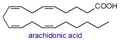 Formula of arachidonic acid