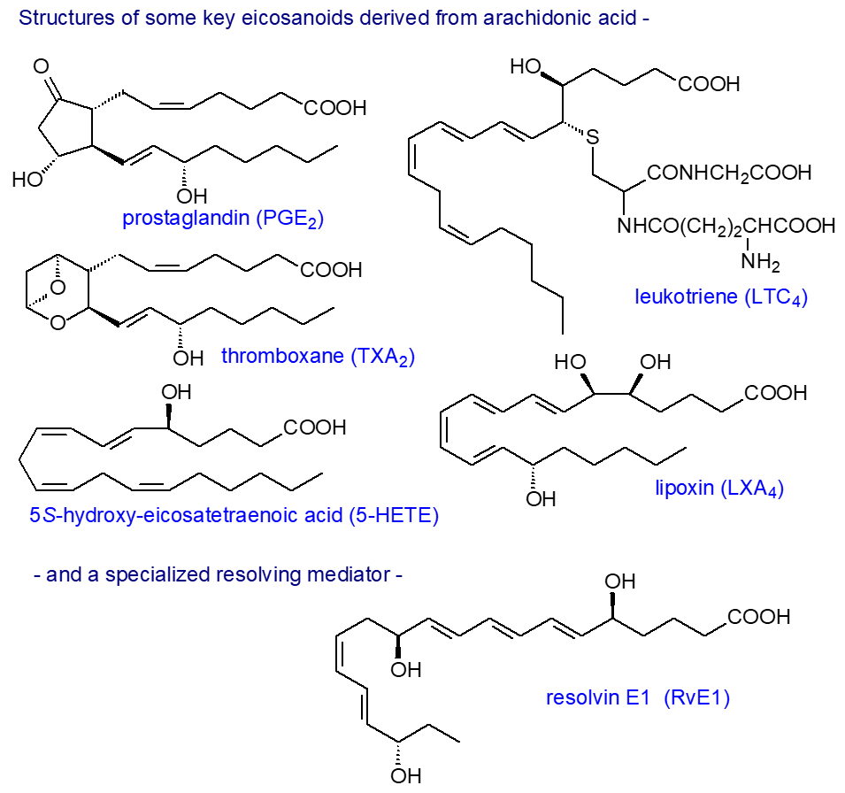 Formulae of prostaglandins, leukotrienes and a resolvin