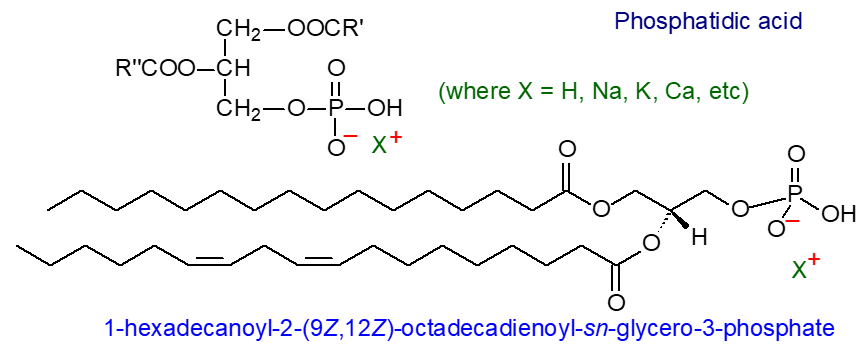 Formulae for phosphatidic acid