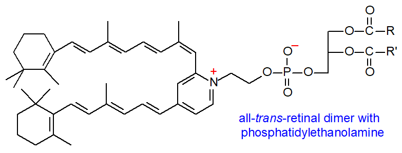 bis-Retinoid phosphatidylethanolamine condensation product