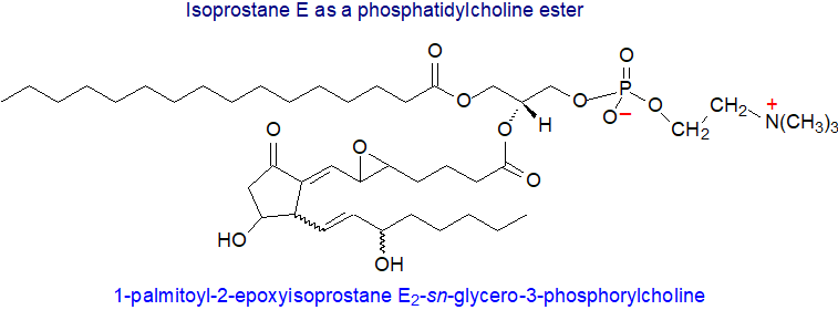 Formula of 1-palmitoyl-2-epoxyisoprostane E2- and A2-sn-glycero-3-phosphorylcholine