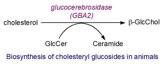 Formula of cholesterol 6-O-acylgalactoside from Borrelia burgdorferi