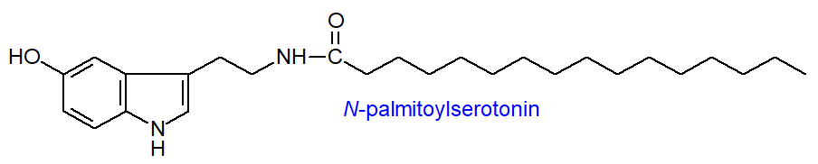 Formula of N-palmitoylserotonin