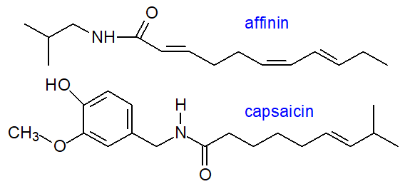 Formulae of affinin and capsaicin