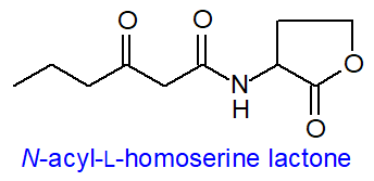Formula for an N-acyl-L-homoserine lactone