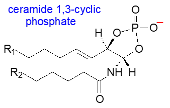 Formula of ceramide 1,3-cyclic phosphate