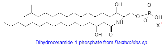 Dihydroceramide-1-phosphate from Bacteroides sp.