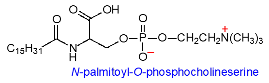 Formula - N-palmitoyl-O-phosphocholineserine