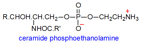 Formula of ceramide phosphoethanolamine