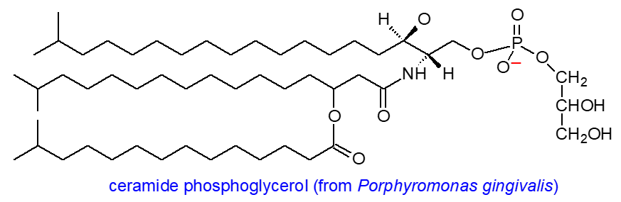 Formula of ceramide phosphoglycerol