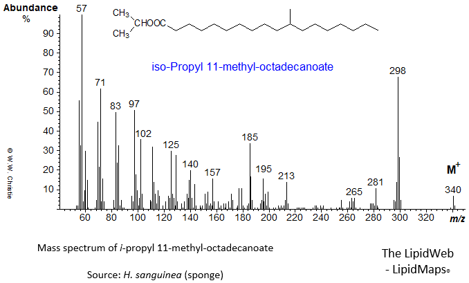 Mass spectrum of iso-propyl 11-methyl-octadecanoate