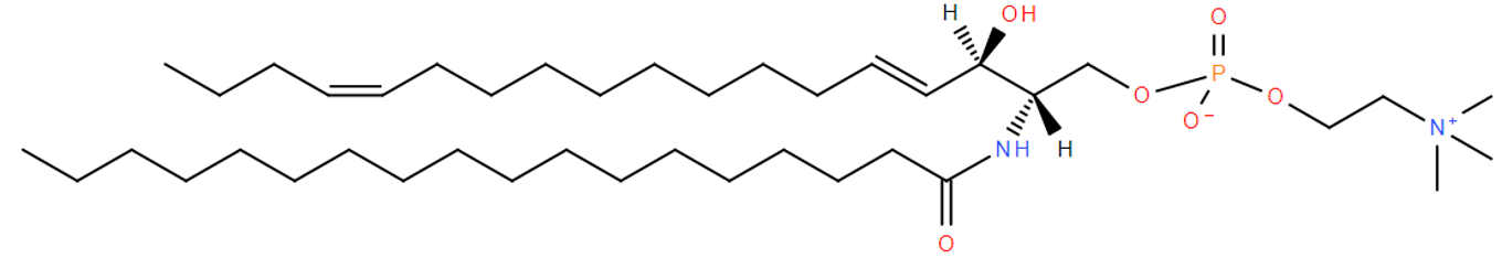 Sphingomyelin structure