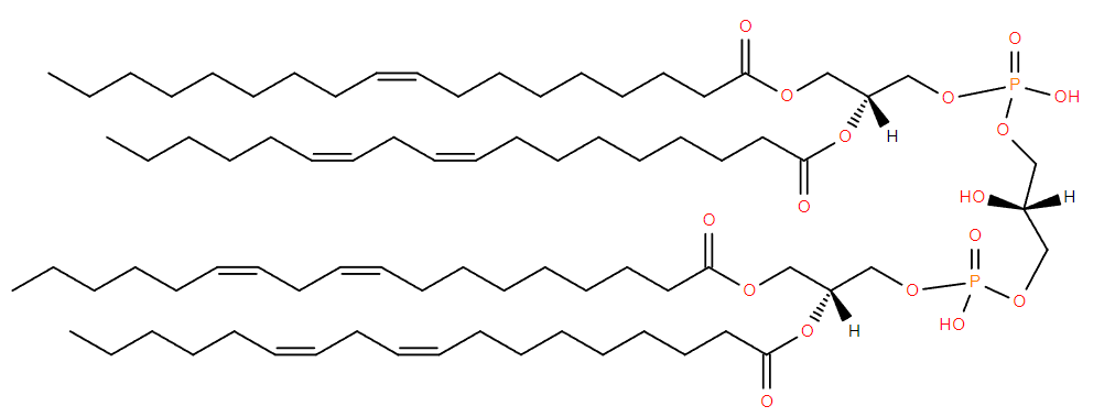 Cardiolipin structure