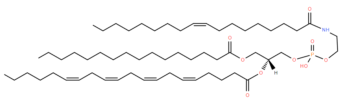 N-acyl PE structure