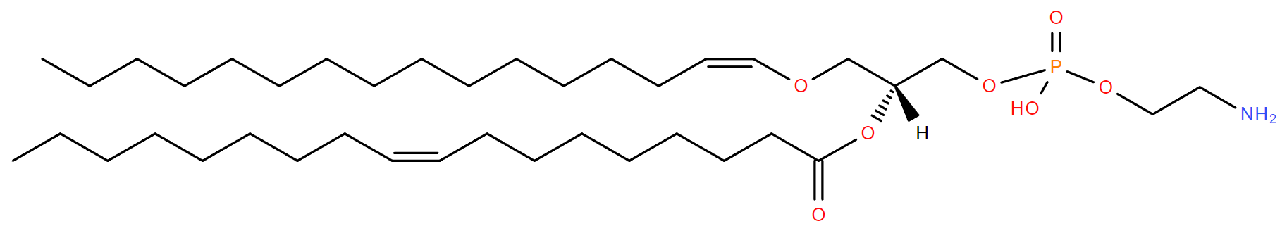 Plasmalogen structure