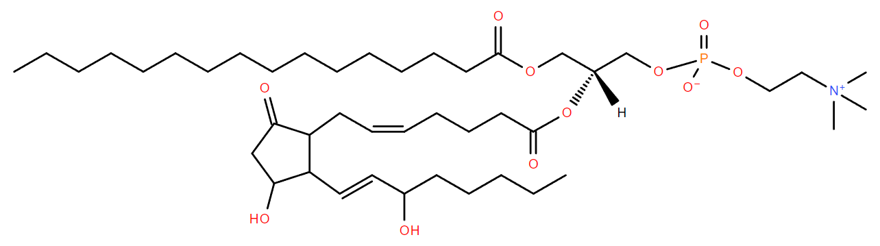 P-IsoPGE2-PC structure