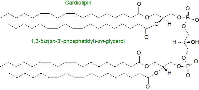 Formula of cardiolipin