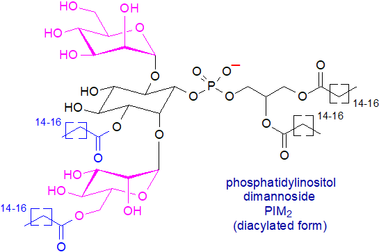 Formula of a phosphatidylinositol dimannoside