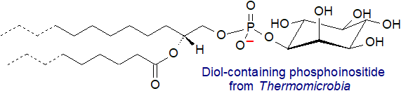 1,2-Diol-containing-phosphoinositide from Thermomicrobia