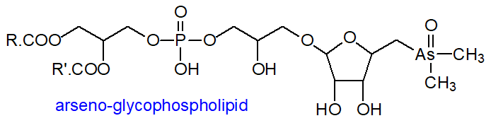 Arsenic-containing glycophospholipid