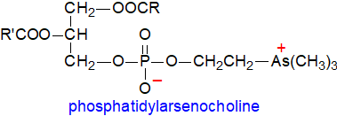 Formula of phosphatidylarsenocholine