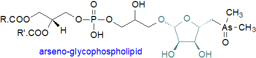 Formula of arsenic-containing glycophospholipid