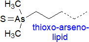 Thioxo-arseno lipid