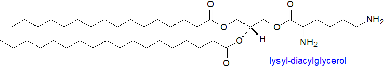 Figure 4. Formula of lysyl-diacylglycerol