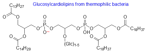 Structural formula for glucosyl-cardiolipins
