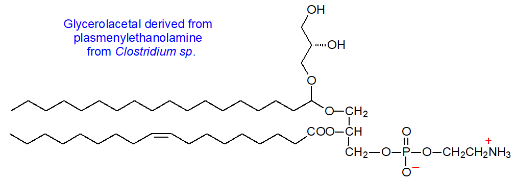 Glycerolacetal derived from plasmenylethanolamine from Glostridium sp.