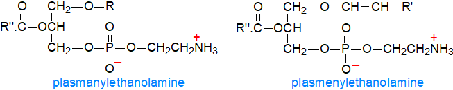 Formulae of plasmanylethanolamine and plasmenylethanolamine