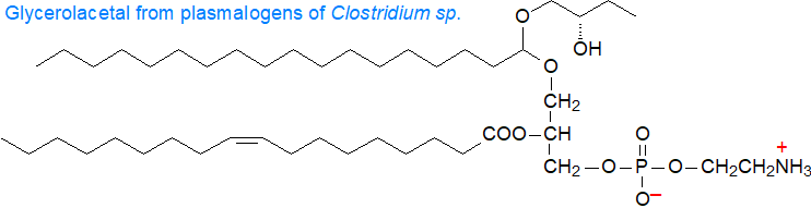 Glycerolacetal derived from plasmalogens of Clostridium sp.