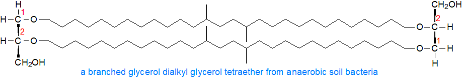 Glycerol dialkyl glycerol tetraether lipid from soil anaerobic bacteria