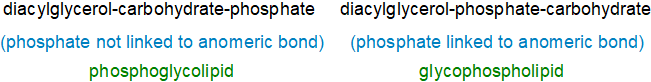 Glycophospholipid versus phosphoglycolipid