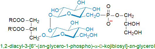 Formula of 1,2-diacyl-3-[6'-(sn-glycero-1-phospho)-apha-D-kojibiosyl]-sn-glycerol