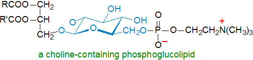 Formula of a choline-containing phosphoglycolipid