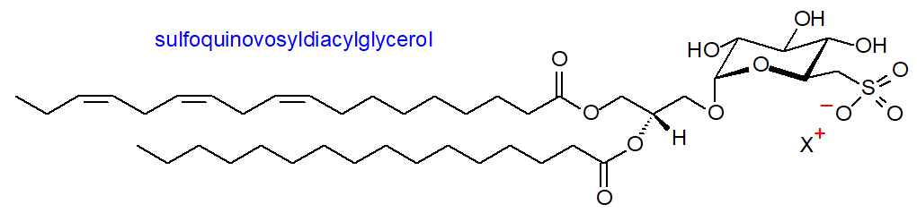 Formula of sulfoquinovosyldiacylglycerol