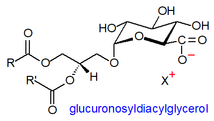 Formula of glucuronosyldiacylglycerol
