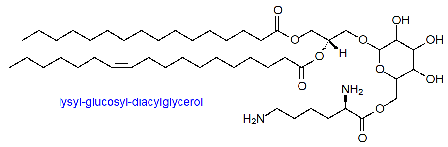 Formula of lysyl-glucosyl-diacylglycerol