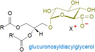 Formula of glucuronosyldiacylglycerol