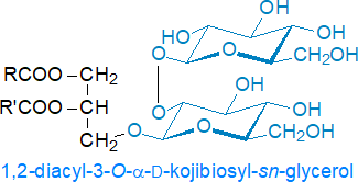 Formula of a kojibiosyldiacylglycerols